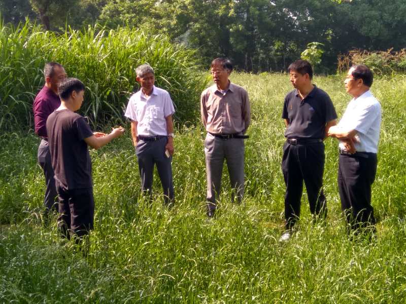 郭亮教授指导安徽省南方草地项目建设工作
